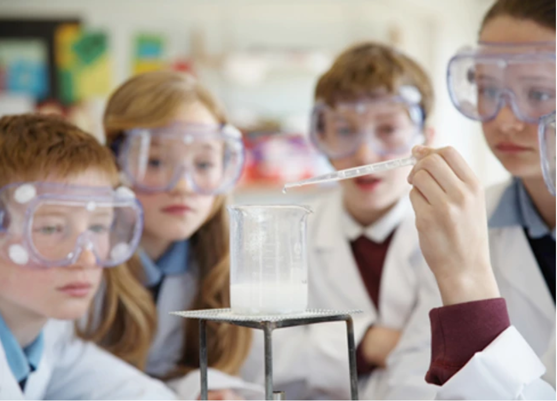 Cosa dice la scienza sulla cucina con olio extravergine di oliva